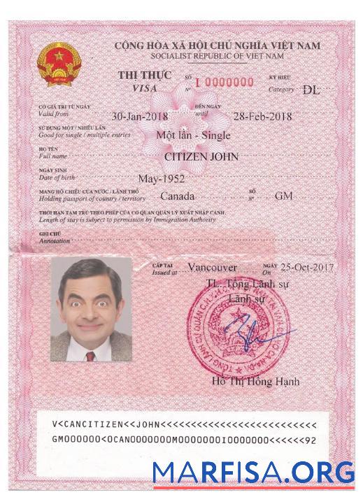 Realistic Vietam tourist visa discretionary leave (Dl) version 2 download for verification